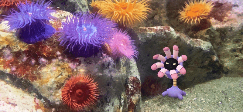 水族館ar その Saica Note 水族館ar その Saica Note