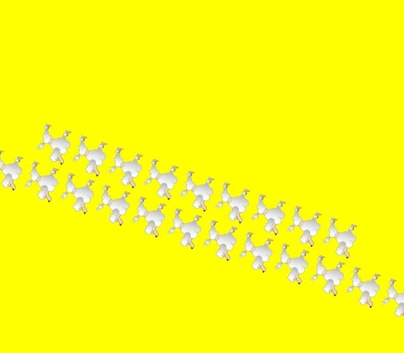 画像20