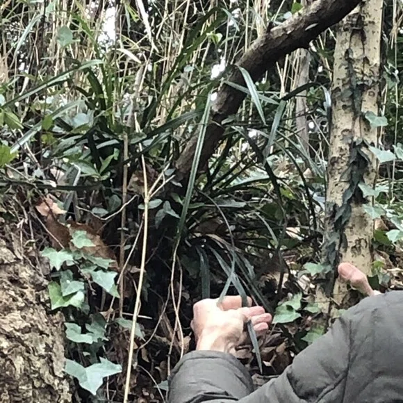 画像11