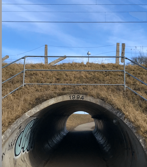 スクリーンショット 2021-03-01 22.06.15