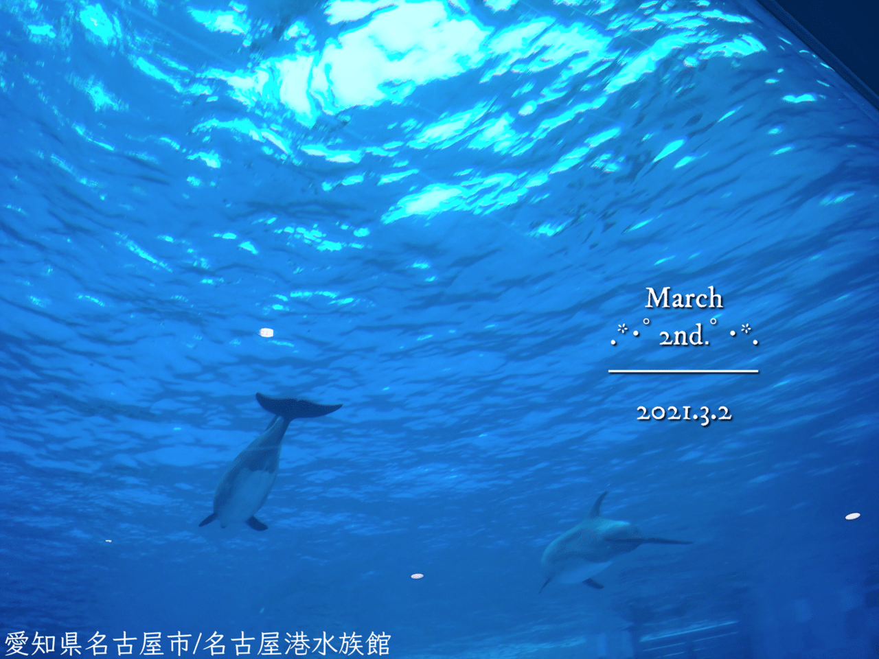 おはようございます 3月2日 火 ミニーマウスの日 ウォルト ディズニー ジャパン株式会社が制定 ミ 3 ニー 2 の語呂合わせ ディズニーランドって平日行っても人が多くて人気のアトラクショ 萃夏 すいか Note