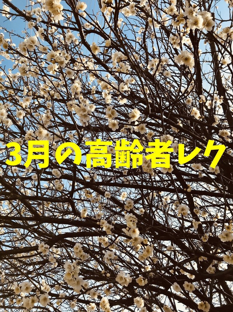 3月 ひな祭り 卒業式の季節 高齢者室内簡単レクリエーション ゲーム 工作 料理 ソロレクリエーション介護士のchibiike Note 3月 ひな祭り 卒業式の季節 高齢者室内簡単レクリエーション ゲーム 工作 料理 ソロレクリエーション介護士のchibiike Note