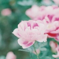 ウルフルズ ええねん 歌詞 ショーペイハウアー 書思家 Note