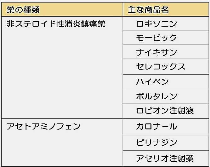 痛みの薬物治療 金原出版