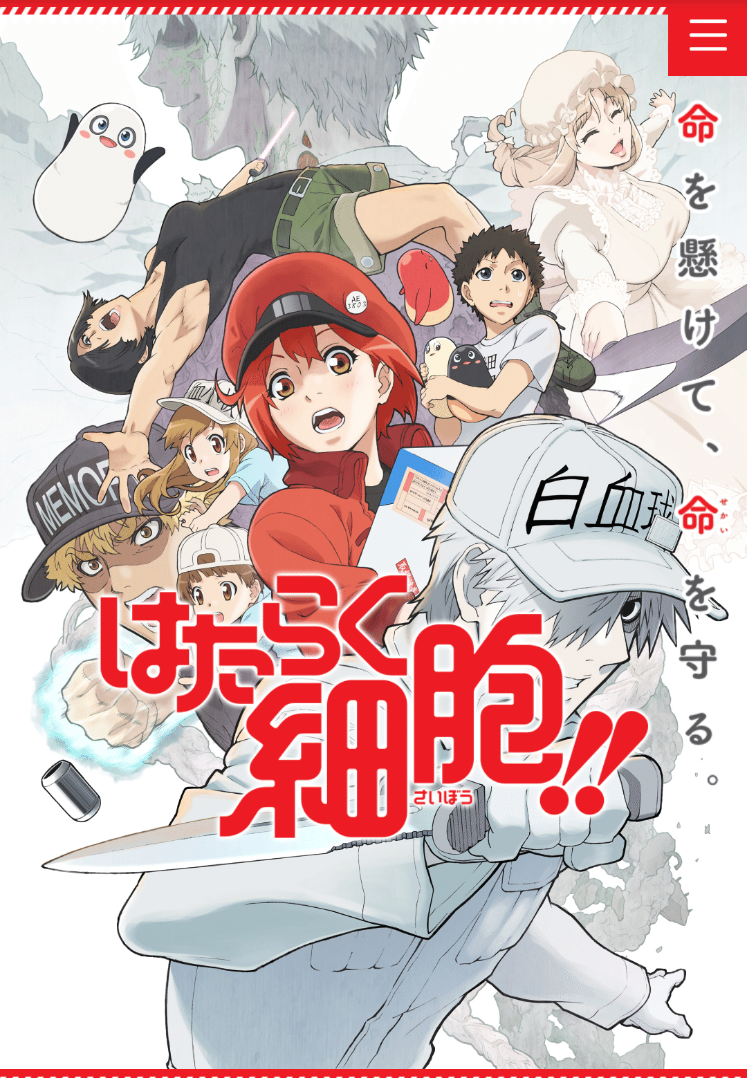 アニメ はたらく細胞 2期8話感想 ネタバレあり ヌマサン Note アニメ はたらく細胞 2期8話感想 ネタバレあり ヌマサン Note