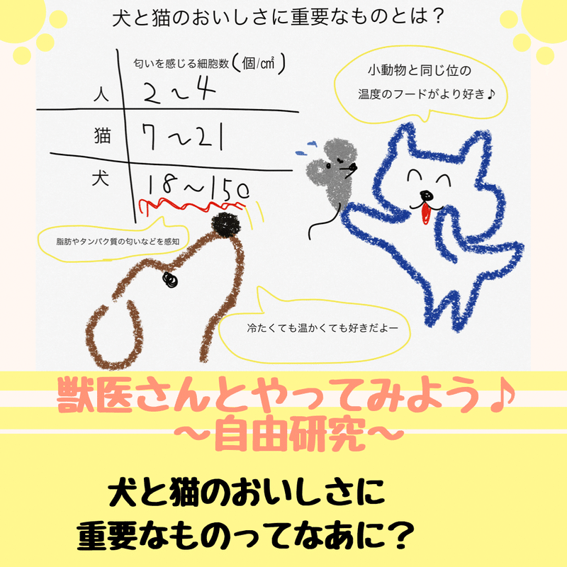 犬と猫のおいしさに重要なものとは 獣医師ふーの 獣医さんとやってみよう自由研究 Note