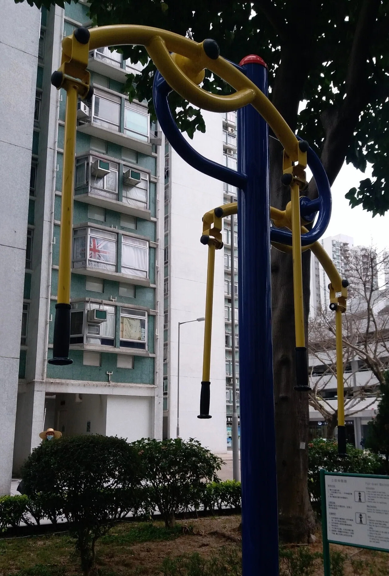 画像7