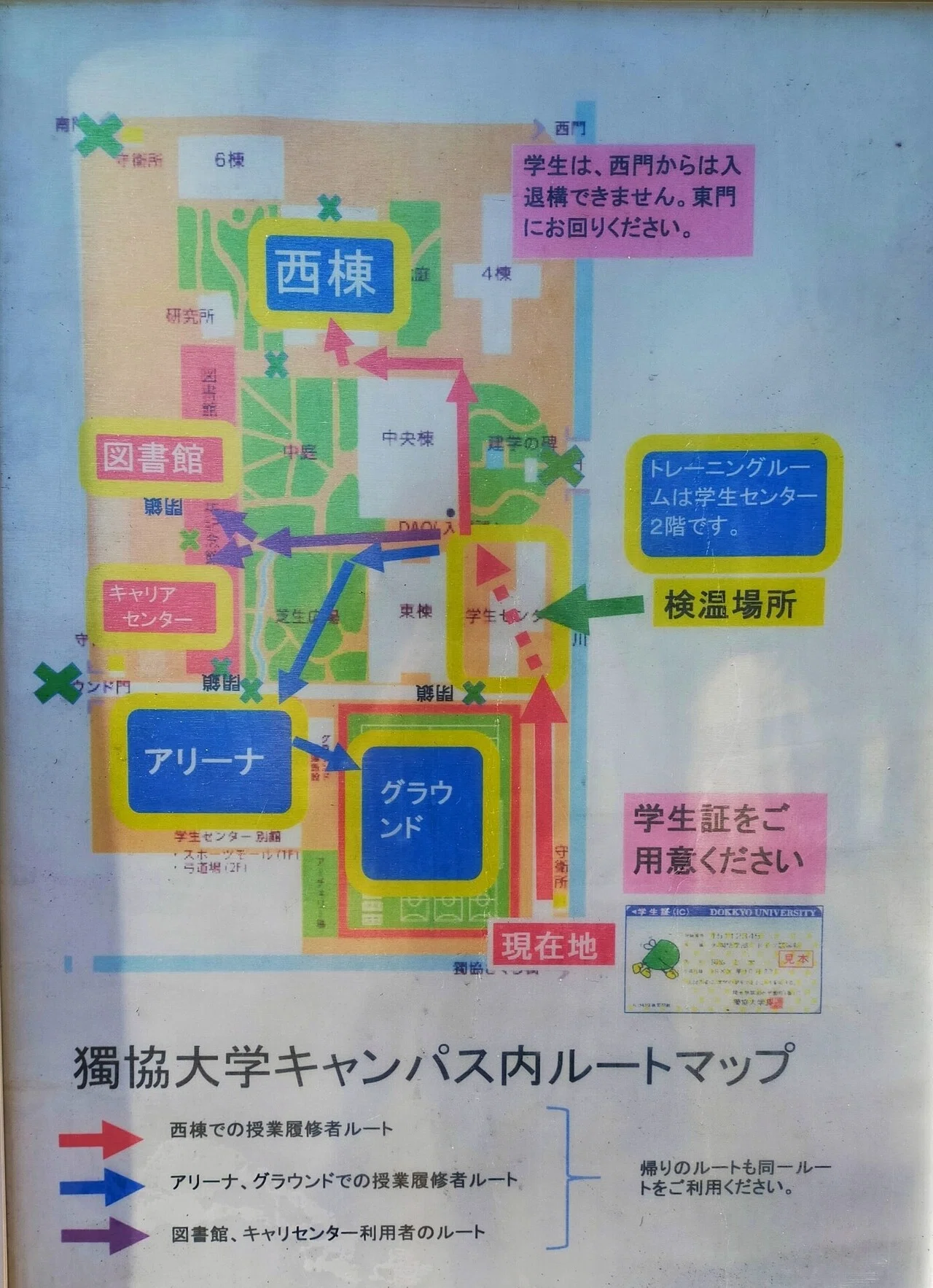 TOEIC受験報告！【会場：獨協大学の案内図付】｜みゆき@TOEICスコア