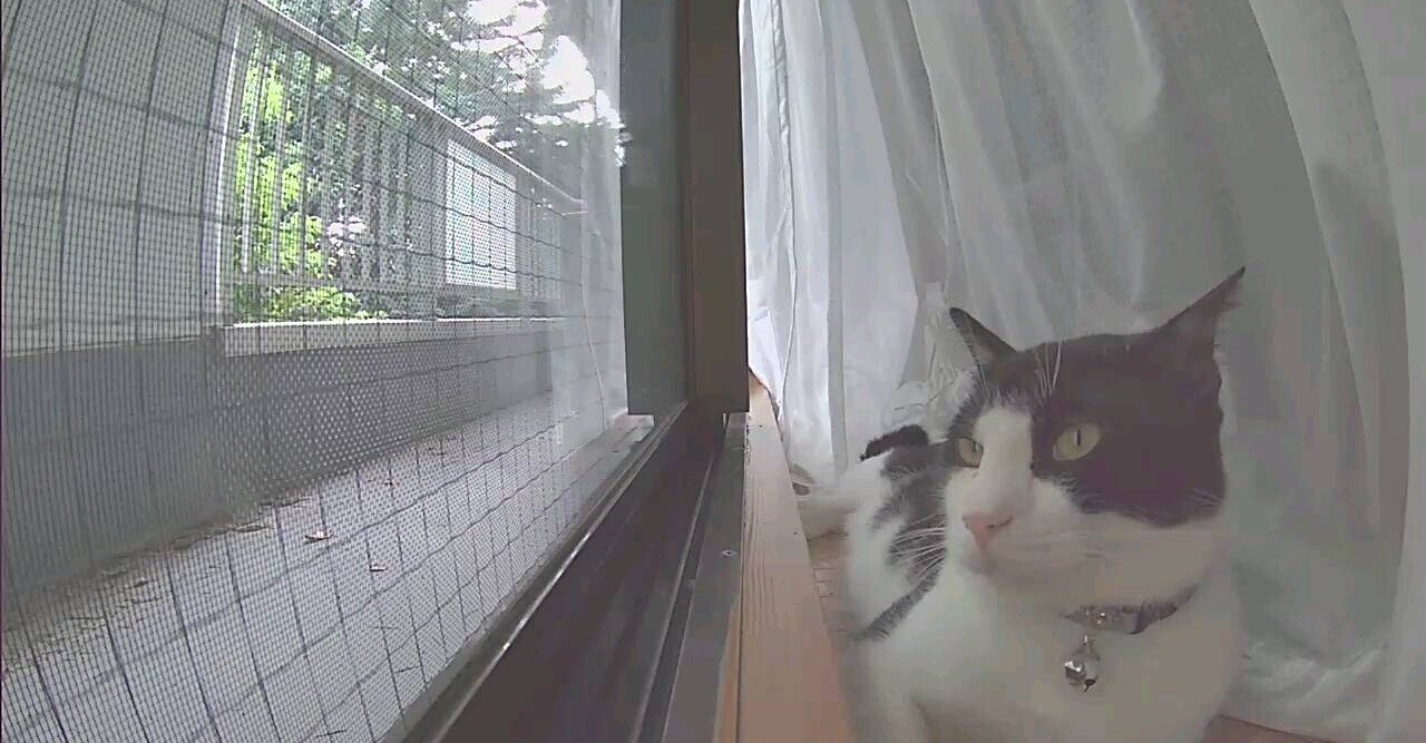 クロネコヤマトのロゴについて Tomono Note クロネコヤマトのロゴについて Tomono Note