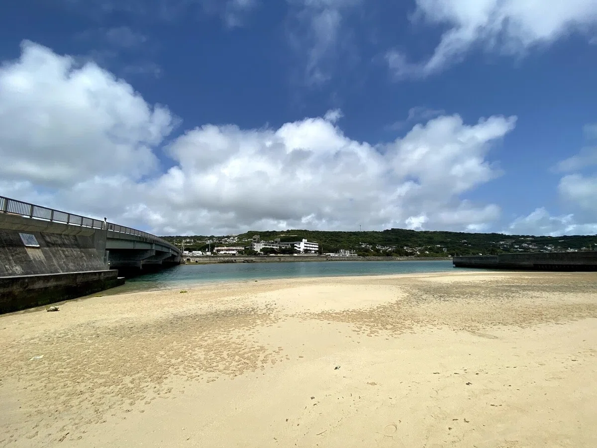 画像7