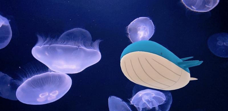 水族館ar その Saica Note
