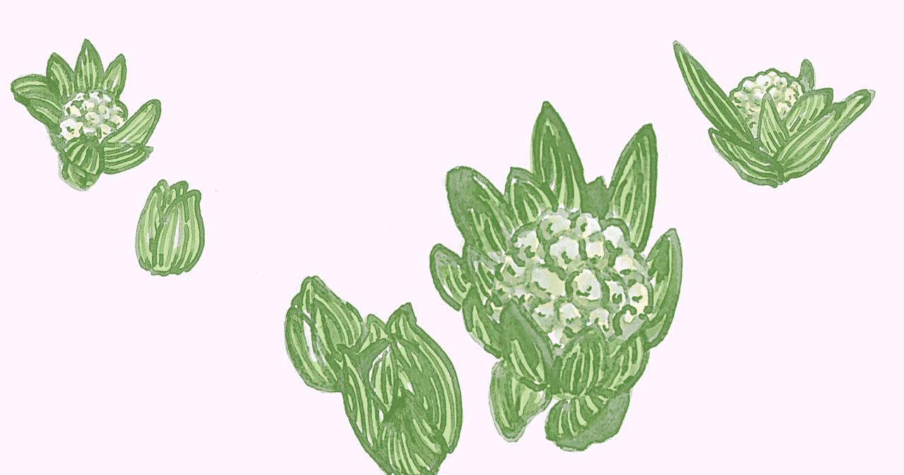 簡単にできて おいしそうなふきのとうメニューを教えてもらったよ つつじ 心の力で元気を見い出し引き出そう Note 簡単にできて おいしそうなふきのとうメニューを教えてもらったよ つつじ 心の力で元気を見い出し引き出そう Note