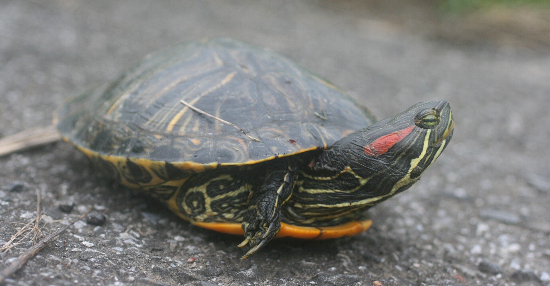 03d876935f1e15e7089d08e07e94eb