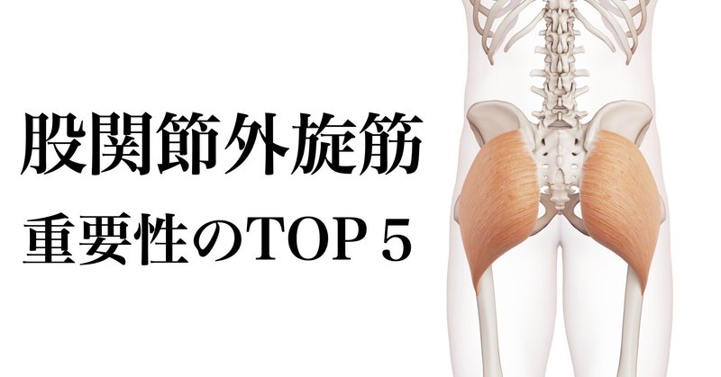 股関節外旋筋の重要性 5選 薬師寺 偲 Shinobu Yakushiji Note 股関節外旋筋の重要性 5選 薬師寺 偲 Shinobu Yakushiji Note