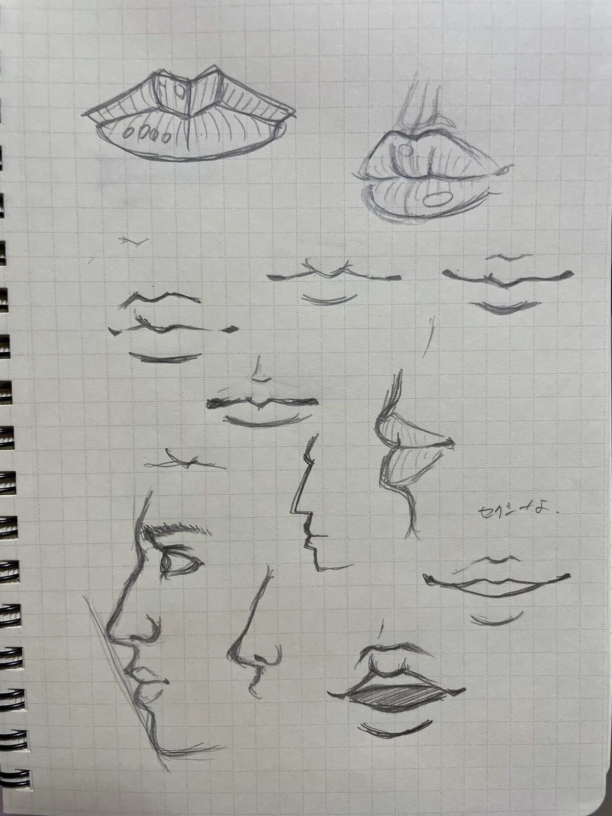 画像4