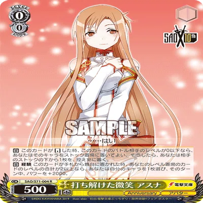 8電源SAO アバターネット軸｜野崎 茨道