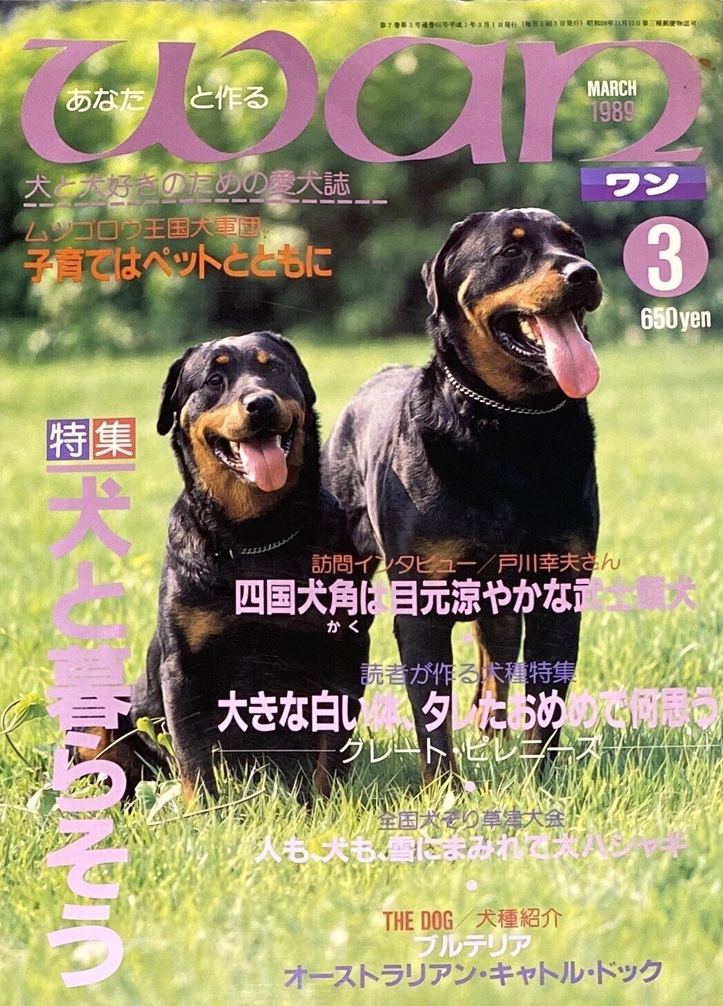 ロットワイラーに取り憑かれたマニア。｜ロットワイラー.MANIA 