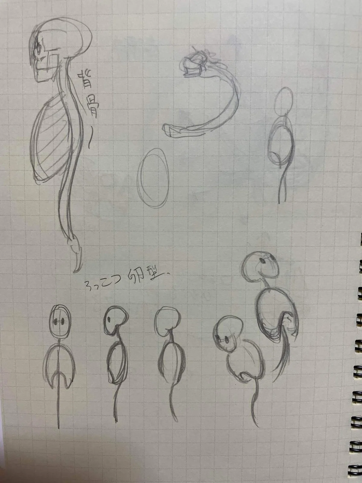 画像12