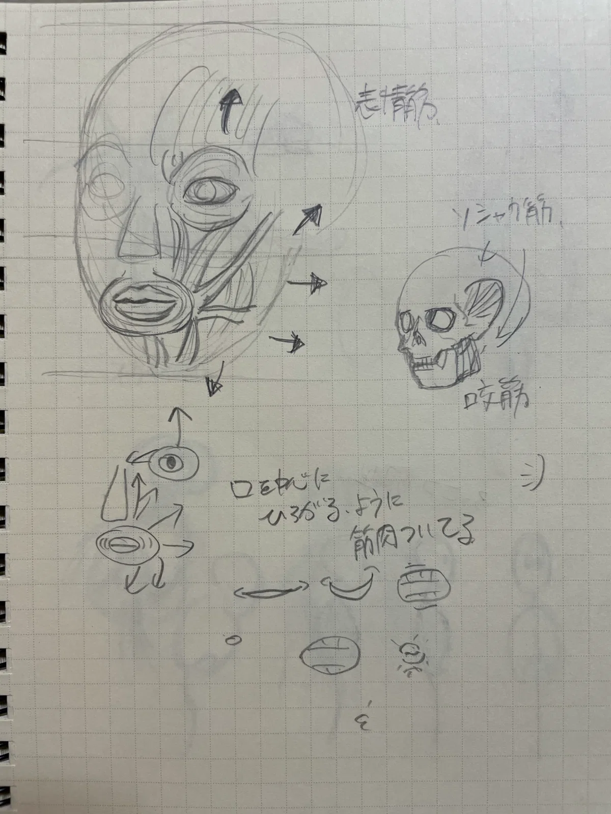 画像11