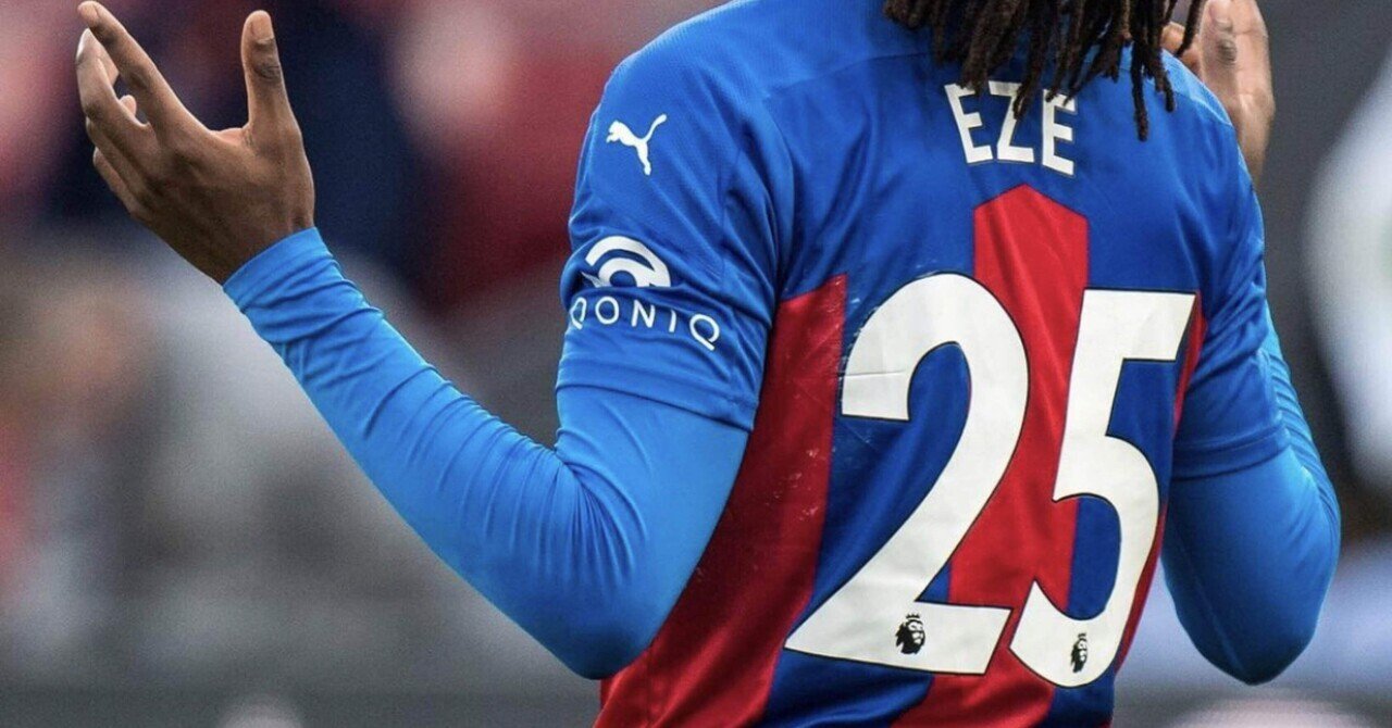 エゼティミベ・サンドのリーフレット