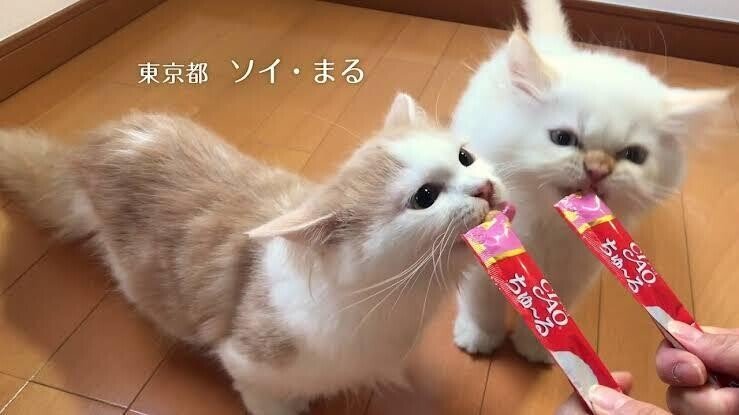 セリアジェル ティッシュを使って作る Instagramで話題の チュールネイル シフォンネイル フリルネイル Youtube動画紹介 Lueir Nail ルワネイル Enmi えんみ Note