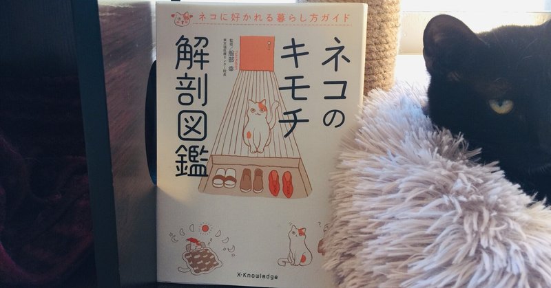 書評 猫の気持ちがわかるようになる 猫を飼ってる人にオススメな本 みおちゅーの図書館 Note