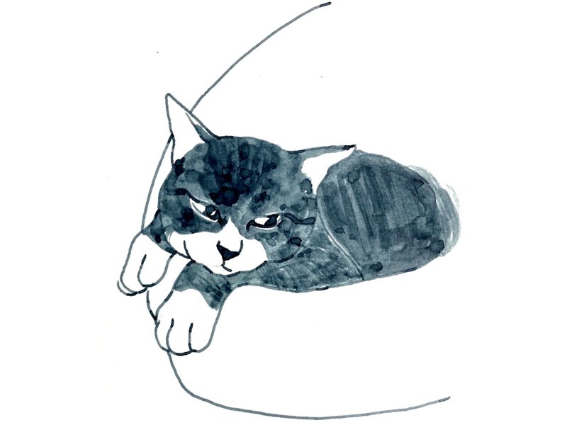 猫画展のお知らせ 猫殿近況 しらかわあずま Note