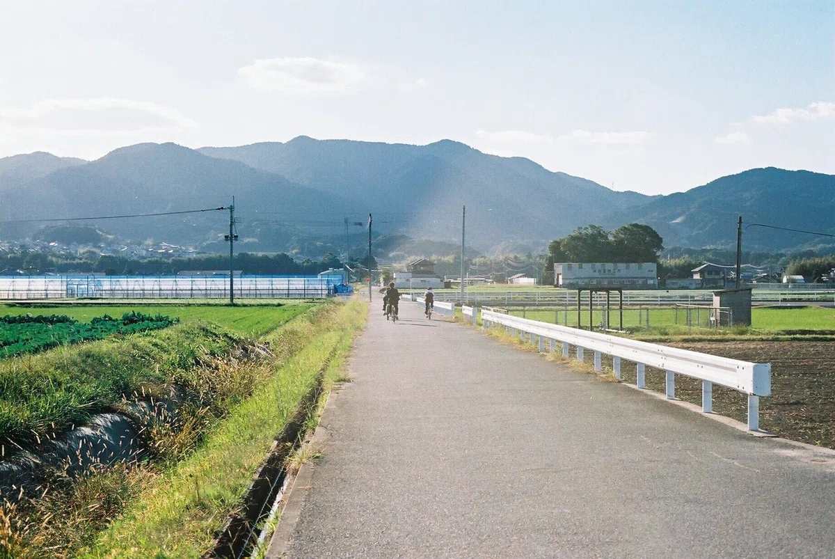 画像8