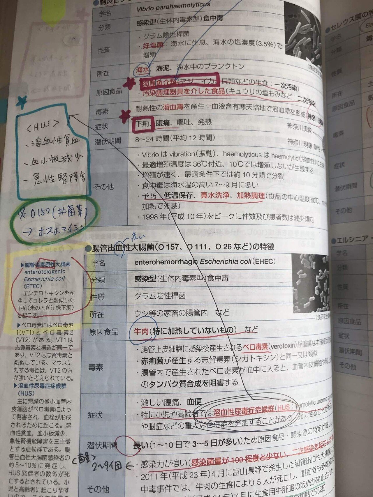 第106回薬剤師国家試験 手記｜いときんぐ