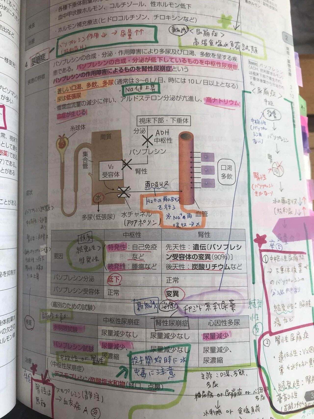 第106回薬剤師国家試験 手記 Yucchisanarashiのブログ