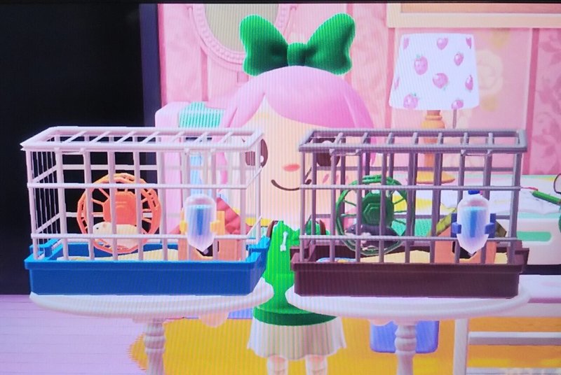 あつ森 念願のハムスターを飼い始めました ゆ こ Note