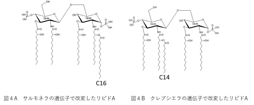 図4