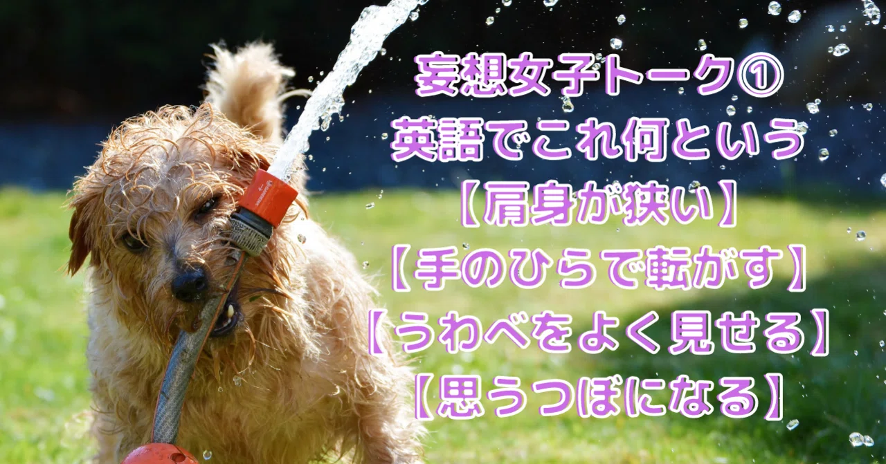 妄想 女子トーク 英語でこれなんという 肩身が狭い 手のひらで転がす うわべをよく見せる 思うつぼなる Rae 英語小ネタ Note