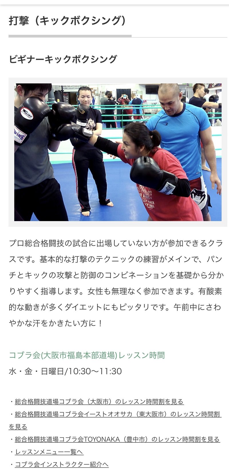 総合格闘技 コブラ会 野寄聖統 Noyori Masanori Note