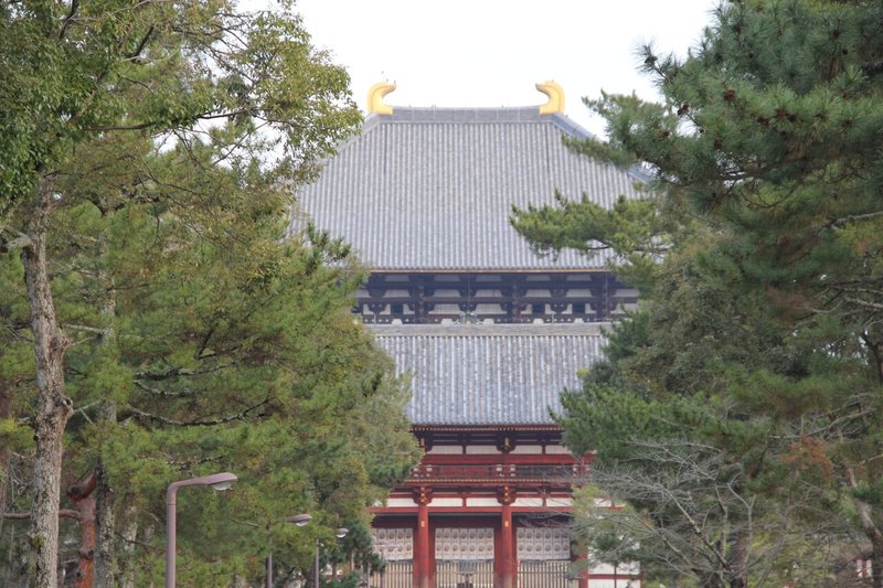 こころのおそうじ 旅するふるほん屋 ぼちぼち堂 Note こころのおそうじ 旅するふるほん屋 ぼちぼち堂 Note