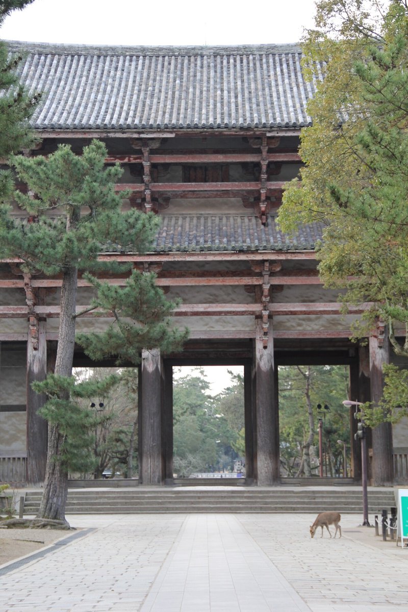 こころのおそうじ 旅するふるほん屋 ぼちぼち堂 Note こころのおそうじ 旅するふるほん屋 ぼちぼち堂 Note