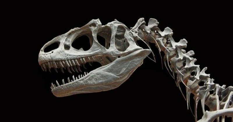 新見解 1億3600万年前に中型肉食恐竜が絶滅した理由 Mm Note