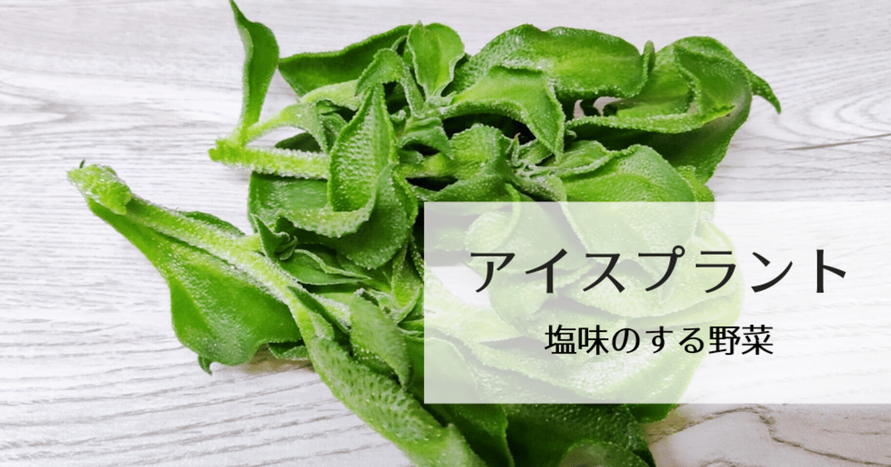 塩味のする野菜 アイスプラント 修家大雄 レストラン ラ フェ Note 塩味のする野菜 アイスプラント 修家大雄 レストラン ラ フェ Note