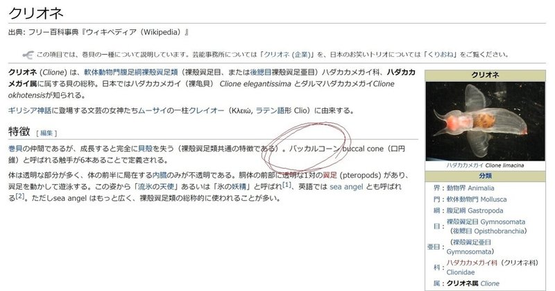 しょこたんが言うてた バッカルコーン 玉坂 Note