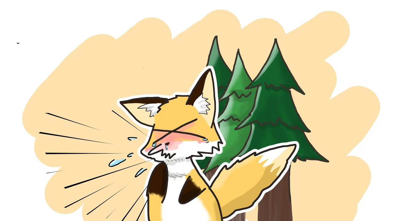 イラストその3｜キタキツネ