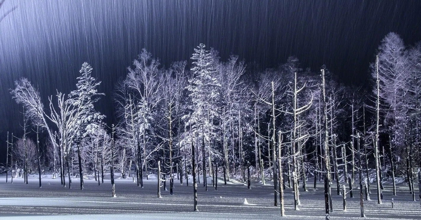 八月の銀の雪】 降り積もるモノは層を成し、厚く強く成長する｜流水