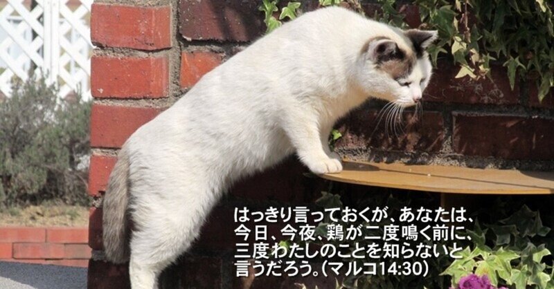 右に倣え の新着タグ記事一覧 Note つくる つながる とどける 右に倣え の新着タグ記事一覧 Note つくる つながる とどける