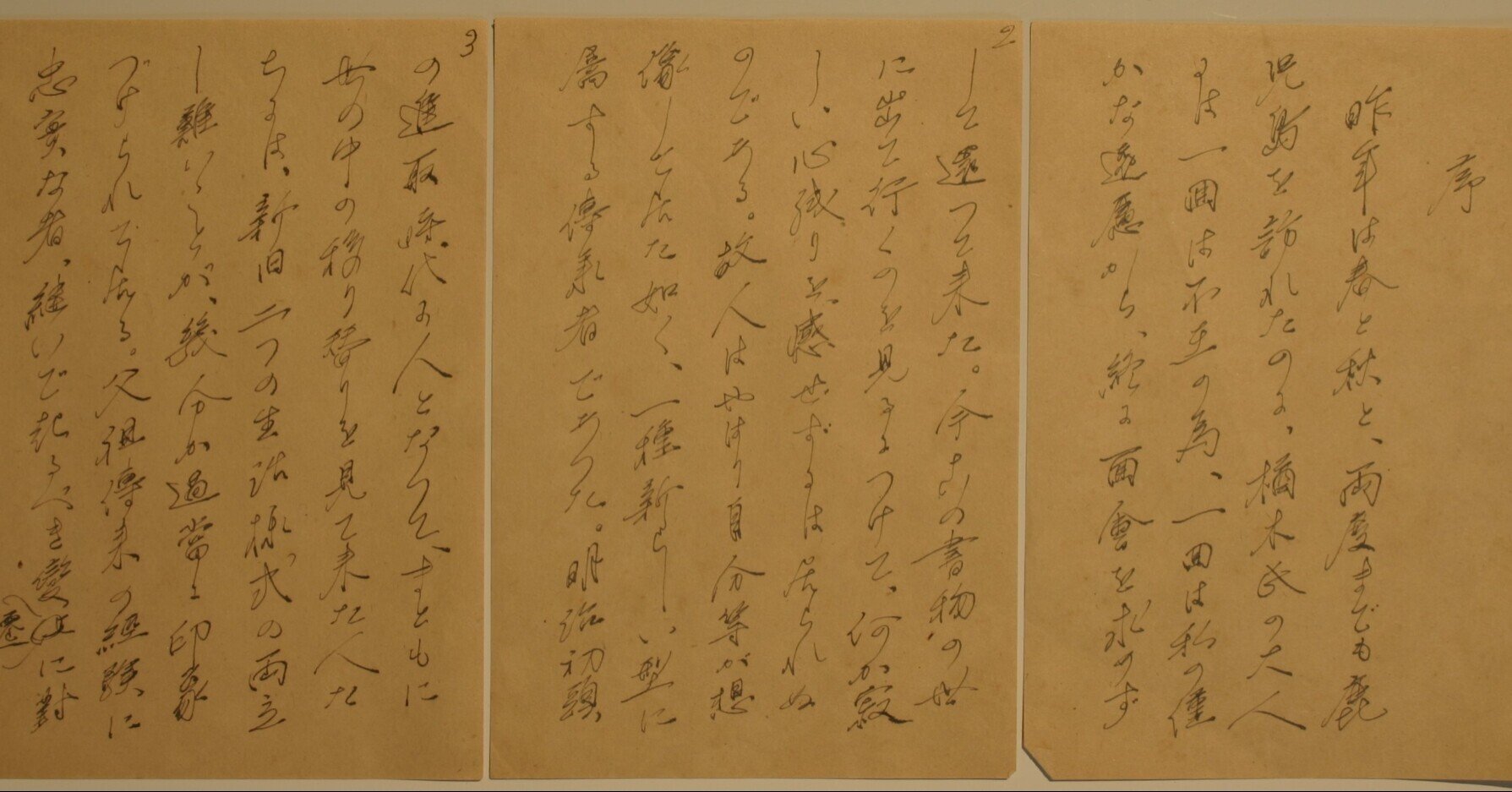 夭折した研究者 楢木範行のこと｜K.WATANABE｜note