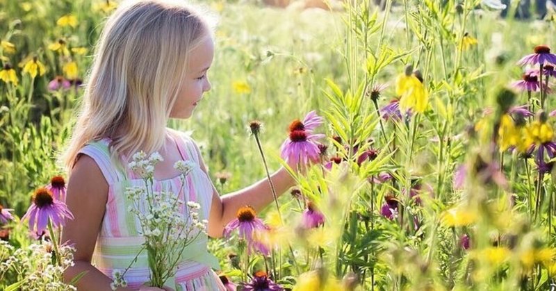 2種類の幸せを徹底解説 人が幸せを感じる瞬間とは Ryuji Note