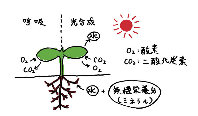 アセット 1xxxhdpi