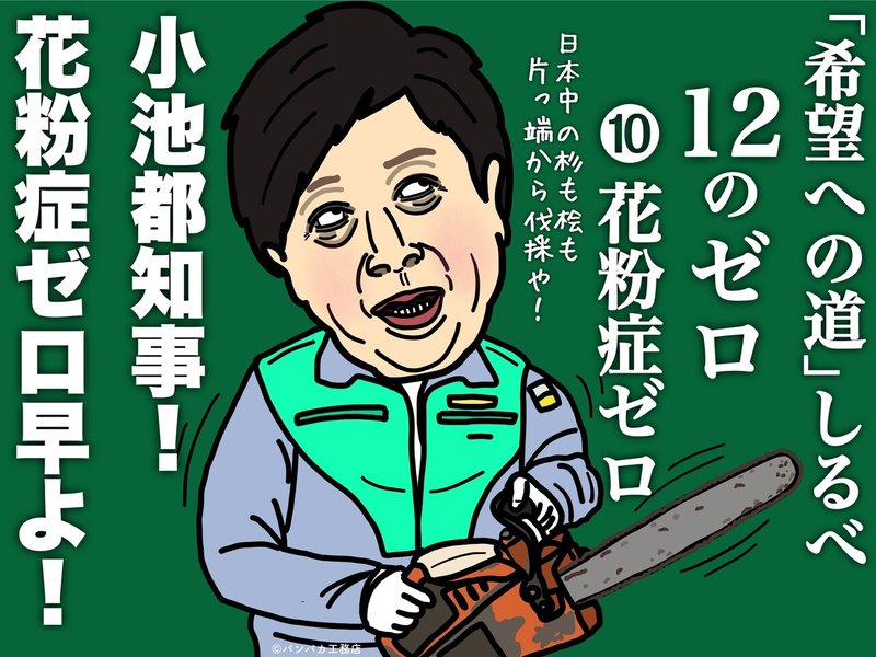 小池都知事の12のゼロ 花粉症ゼロは何処に行ったの W パンパカ工務店 Note