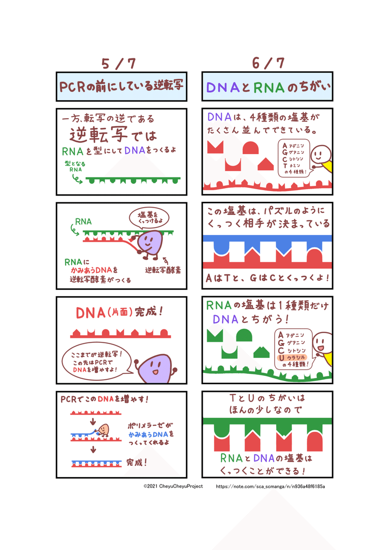 PCRって何？_017