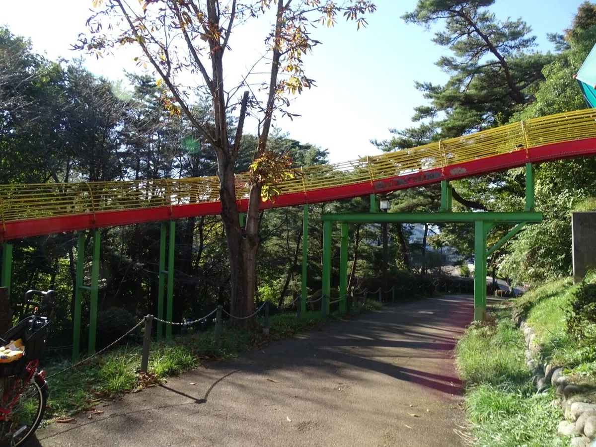 画像7
