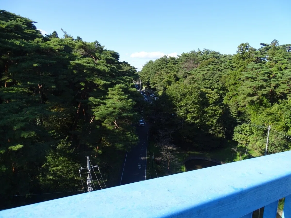 画像8