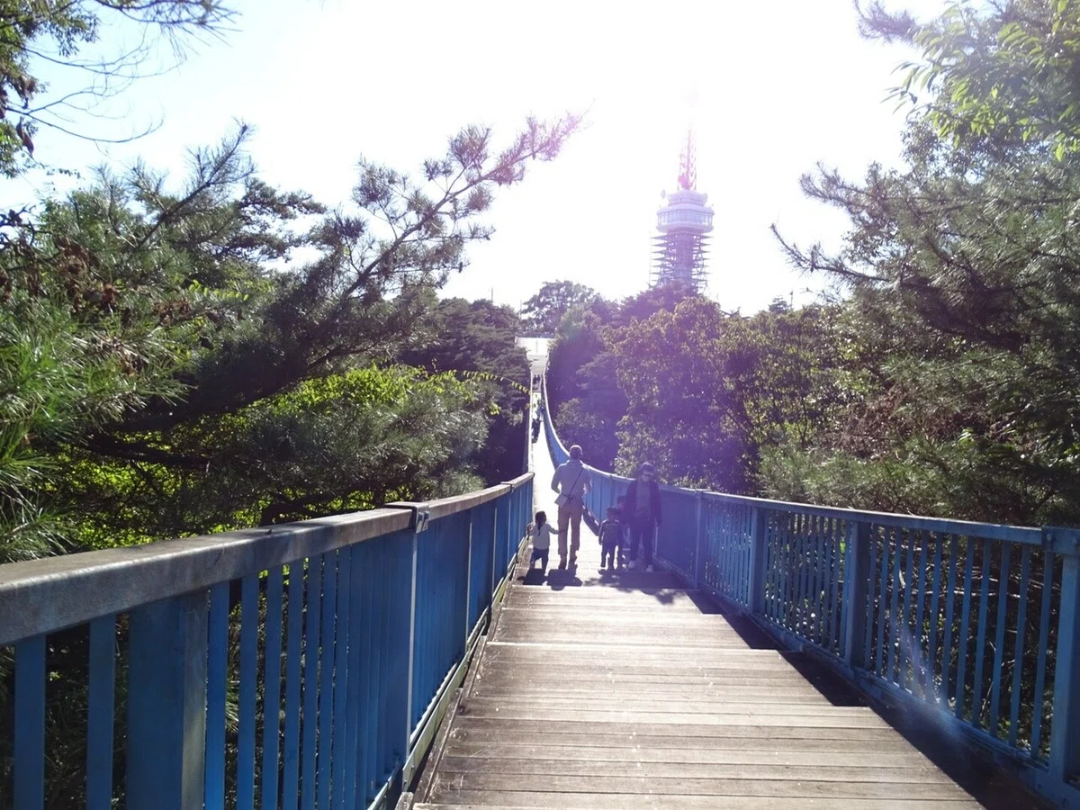 画像9